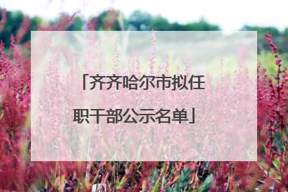 齐齐哈尔市拟任职干部公示名单