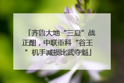 齐鲁大地“三夏”战正酣，中联重科“谷王”机手减损比武夺魁