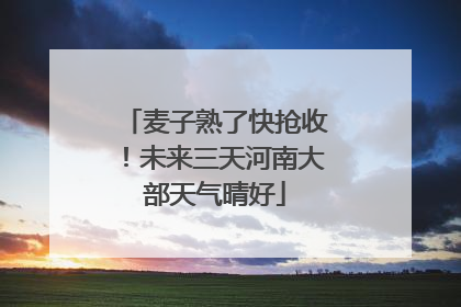 麦子熟了快抢收！未来三天河南大部天气晴好