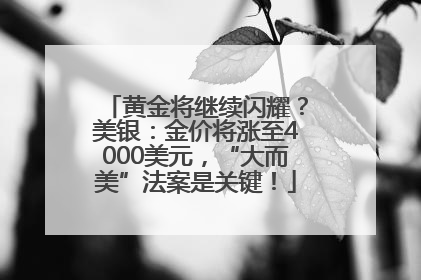 黄金将继续闪耀？美银：金价将涨至4000美元，“大而美”法案是关键！