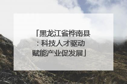 黑龙江省桦南县：科技人才驱动 赋能产业促发展