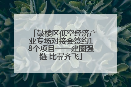 鼓楼区低空经济产业专场对接会签约18个项目——建圈强链 比翼齐飞