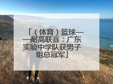 （体育）篮球——耐高联赛：广东实验中学队获男子组总冠军