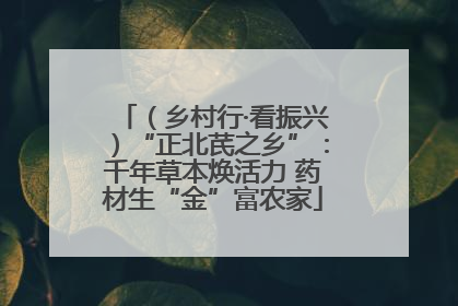 （乡村行·看振兴）“正北芪之乡”：千年草本焕活力 药材生“金”富农家