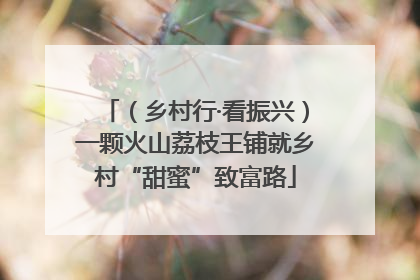 （乡村行·看振兴）一颗火山荔枝王铺就乡村“甜蜜”致富路