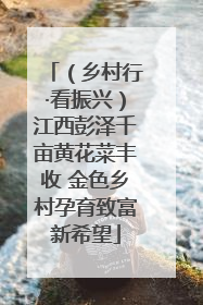 （乡村行·看振兴）江西彭泽千亩黄花菜丰收 金色乡村孕育致富新希望