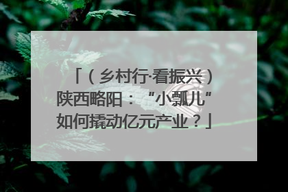 （乡村行·看振兴）陕西略阳：“小瓢儿”如何撬动亿元产业？