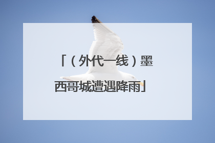 （外代一线）墨西哥城遭遇降雨