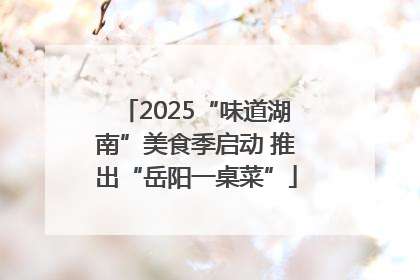 2025“味道湖南”美食季启动 推出“岳阳一桌菜”