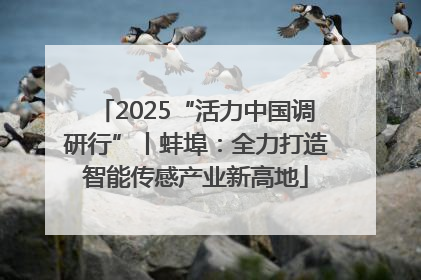 2025“活力中国调研行”丨蚌埠：全力打造智能传感产业新高地