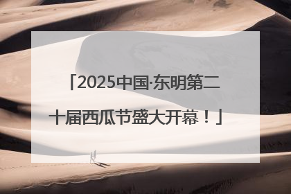 2025中国·东明第二十届西瓜节盛大开幕！