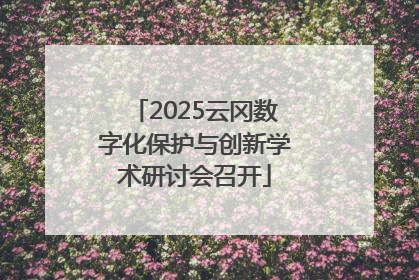 2025云冈数字化保护与创新学术研讨会召开