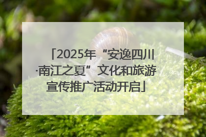 2025年“安逸四川·南江之夏”文化和旅游宣传推广活动开启