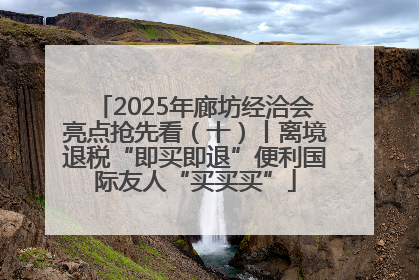 2025年廊坊经洽会亮点抢先看（十）丨离境退税“即买即退”便利国际友人“买买买”