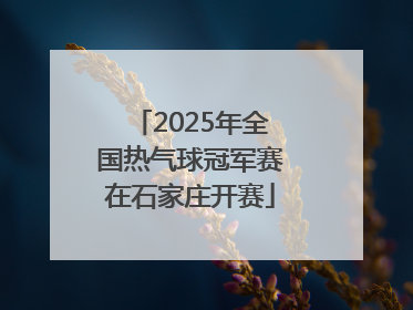 2025年全国热气球冠军赛在石家庄开赛
