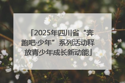 2025年四川省“奔跑吧·少年”系列活动释放青少年成长新动能