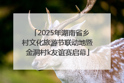 2025年湖南省乡村文化旅游节联动地暨金洞村k友谊赛启幕