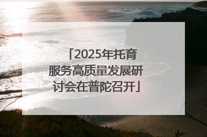 2025年托育服务高质量发展研讨会在普陀召开