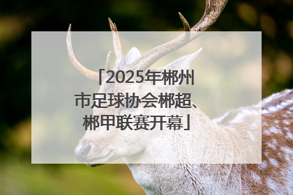 2025年郴州市足球协会郴超、郴甲联赛开幕
