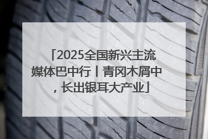 2025全国新兴主流媒体巴中行丨青冈木屑中，长出银耳大产业