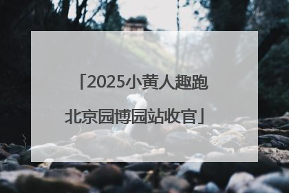 2025小黄人趣跑北京园博园站收官