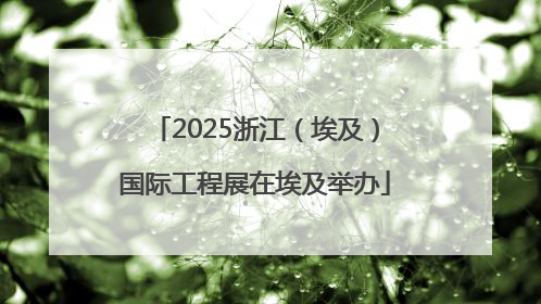 2025浙江（埃及）国际工程展在埃及举办