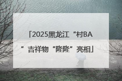 2025黑龙江“村BA”吉祥物“隆隆”亮相