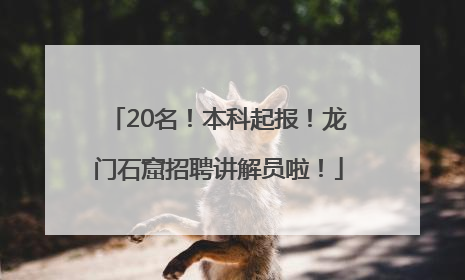 20名！本科起报！龙门石窟招聘讲解员啦！