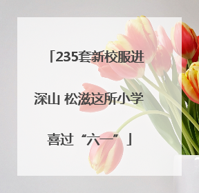 235套新校服进深山 松滋这所小学喜过“六一”