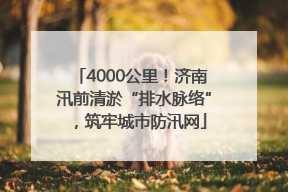 4000公里！济南汛前清淤“排水脉络”，筑牢城市防汛网
