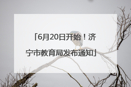 6月20日开始！济宁市教育局发布通知