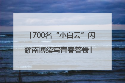 700名“小白云”闪耀南博续写青春答卷