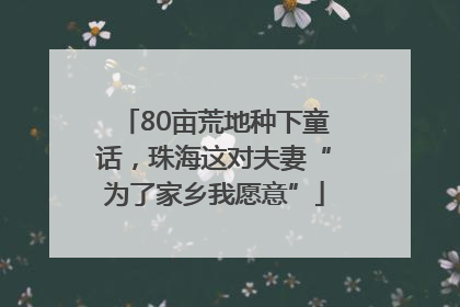 80亩荒地种下童话，珠海这对夫妻“为了家乡我愿意”