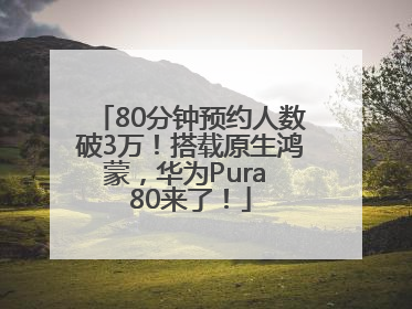 80分钟预约人数破3万！搭载原生鸿蒙，华为Pura 80来了！