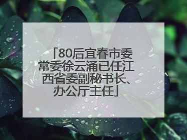 80后宜春市委常委徐云涌已任江西省委副秘书长、办公厅主任