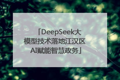 DeepSeek大模型技术落地江汉区 AI赋能智慧政务