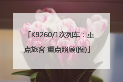 K9260/1次列车：重点旅客 重点照顾(图)